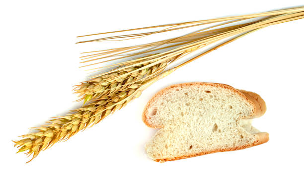 Gluten Allergy Bread