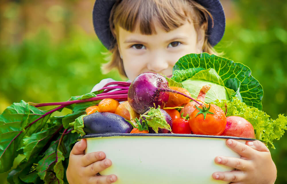 Healthy Meals Norishment