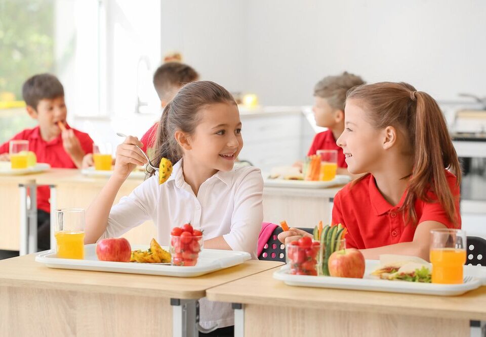 Nutrition And Healthy Lunch
